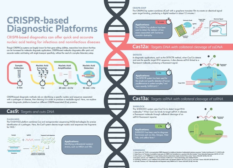 CRISPRbased Diagnostic Platforms Infographic
